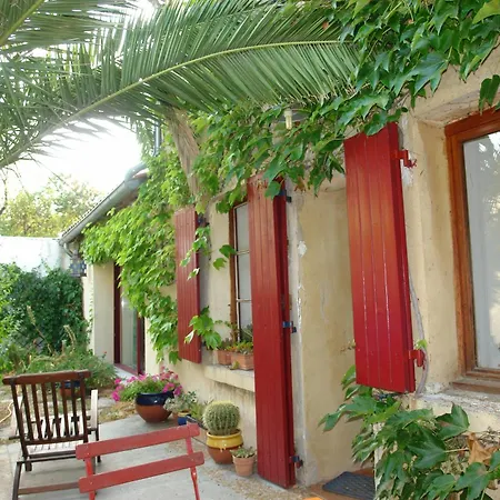 Donnant Sur Jardin * Nîmes