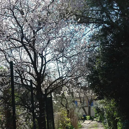 Donnant Sur Jardin Nîmes